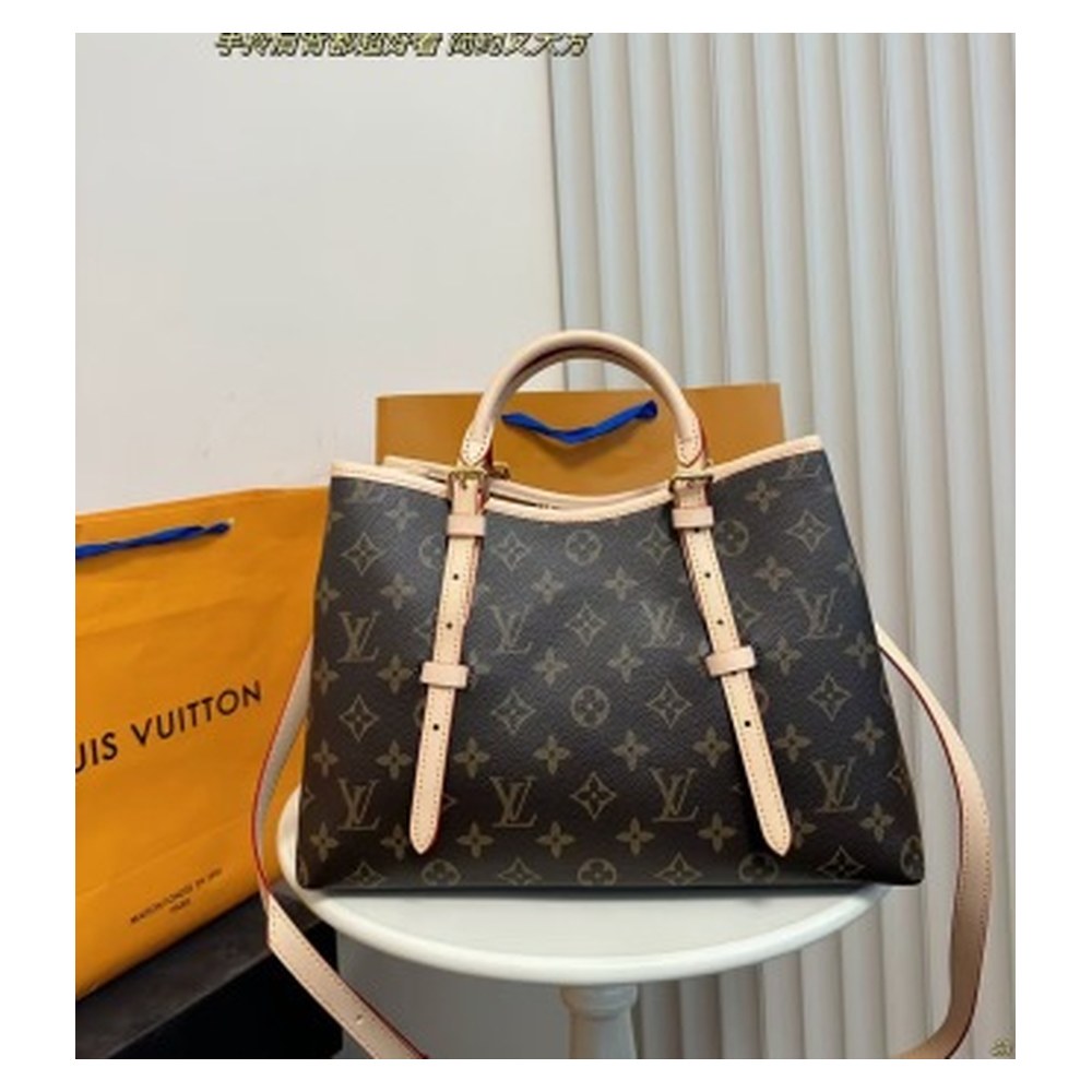 Louis Vuitton Bag 001