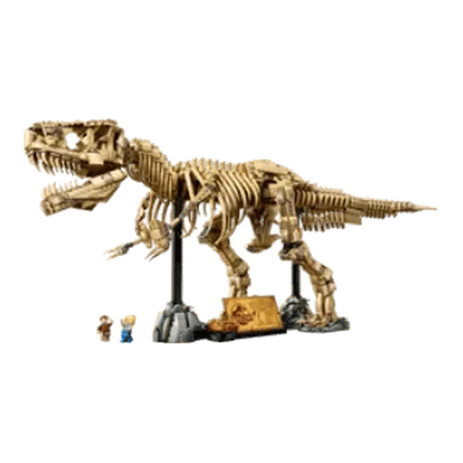 LEGO Ideas Dinosaur Fossil Skeleton Collector Display Model